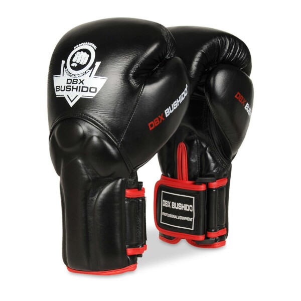 Boxersk rukavice DBX BUSHIDO BB2