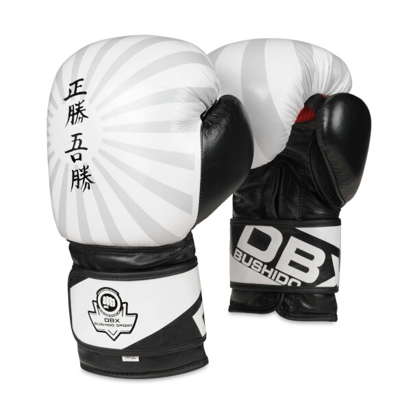 Boxersk rukavice DBX BUSHIDO B-2v8