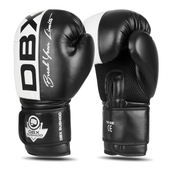 Boxersk rukavice DBX BUSHIDO B-2v20