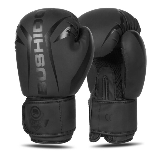 Boxersk rukavice DBX BUSHIDO B-2v22