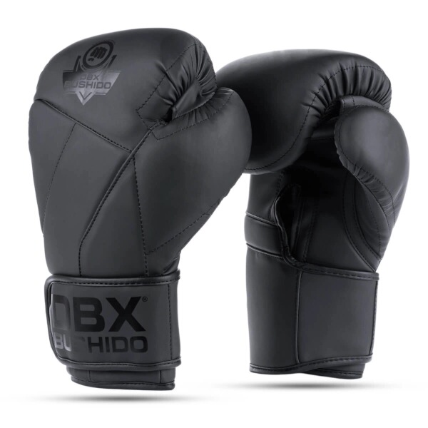 Boxersk rukavice DBX BUSHIDO B-2v15B